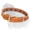 Leather Dog Collar with Brass Half-Ball Studs for Mastiff Puppies and Small Breed Dogs