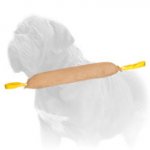 Extra Large Mastiff Dog Bite Tug for Upper-Intermediate Level