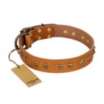 "Autumn Story" FDT Artisan Leather Mastiff Collar with Old Bronze Look Studs