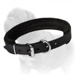 Multitasking Leather Padded Dog Collar for Mastiff Breed - Extra Thin
