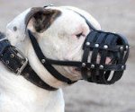 Everyday Light Weight Ventilation Argentinian Mastiff muzzle