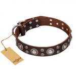 'Age of Beauty' FDT Artisan Incredible Studded Brown Leather Mastiff Collar