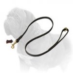 Classy Leather Mastiff Dog Leash for More than 7 Different Activities