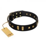 "Fit for Royalty" FDT Artisan Black Leather Mastiff Collar with Plates and Small Square Studs