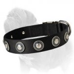 Super Light Weight Nylon Collar for Multiactivity of Your Mastiff