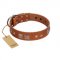 "Egyptian Gifts" Handmade FDT Artisan Tan Leather Mastiff Collar with Chrome-plated Pyramids