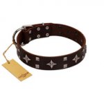 "Trendy Candy" FDT Artisan Brown Leather Mastiff Collar Adorned with Stars and Tiny Squares