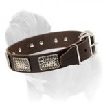 Unusual Design Mastiff Dog Collar with Steel Nickel Plated Plates