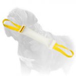 Mastiff Training Fire Hose Dog Bite Tug