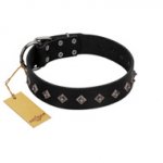 "Immense Power" Handcrafted FDT Artisan Black Leather Mastiff Collar with Small Dotted Pyramids