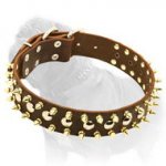 Fashion Leather Dog Collar with Goldish Spikes and Nickel Studs for Mastiff Walking