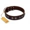 "King Arthur" FDT Artisan Brown Leather Mastiff Collar with Spiky Plates