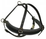 English Mastiff Tracking/PullingLeather Dog Harness_2