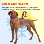 Biothane Waterproof Slip Lead_9