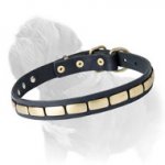 Mastiff Leather Collar with Brass Plates for Fashionable Walking