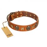 "Rockin' Doggie" FDT Artisan Tan Leather Mastiff Collar Adorned with Stars and Skulls