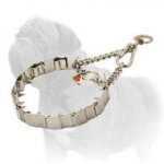 'Superb Control' Mastiff Dog Neck Tech Prong Collar