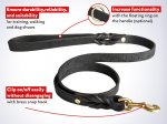 Custom Leather Dog Leash for Mastiff with brass hook