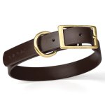 Viper Biothane Collar with Brass Hardware_2