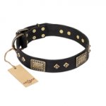 "Jewel Passion" FDT Artisan Fashionable Black Leather Mastiff Collar