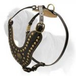 Royal Mastiff Harness with Brass Studs and Nappa Leather Padding