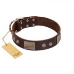"Stone Stars" Stylish Handmade FDT Artisan Brown Leather Mastiff Collar