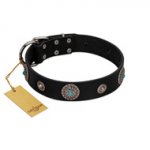 "Blue Gems" FDT Artisan Black Leather Mastiff Collar with Chrome Plated Studs and Conchos