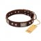 "Pirate Skull" FDT Artisan Brown Leather Mastiff Collar with Old Silver Look Plates and Skulls