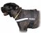 Reflective nylon dog harness Cane Corso Mastiff - Everyday Harness