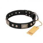 "Pirates Gold" FDT Artisan Black Leather Mastiff Collar with Old Silver Look Plates and Skulls