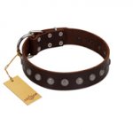 "Spring Flower" Stylish FDT Artisan Brown Leather Mastiff Collar for Comfy Walks