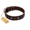 "Pure Sensation" Exclusive FDT Artisan Brown Leather Mastiff Collar with Fancy Brooches and Studs