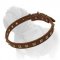 Beautiful Thin Leather Dog Collar with Studs for Mastiff Daily Walks and Professional Workout