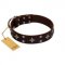 "Trendy Candy" FDT Artisan Brown Leather Mastiff Collar Adorned with Stars and Tiny Squares