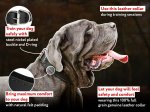 Genuine Leather Dog Collar Padded with Natural Felt for Mastiff Breed Training and Walking