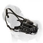 Maximally Comfortable, Safe and Reliable Mastiff Dog Muzzle for any Occasion