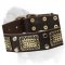 'Monarch' Mastiff Dog Collar