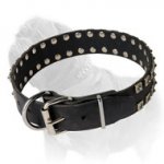 Mastiff Leather Collar with Dotted Studs for Daily Walking
