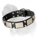 Leather Dog Collar with Nickel Plate and Pyramids for Mastiff Walking