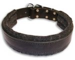 BUY 1.5 inch Leather Collar for Mastiff