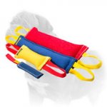 Mastiff Bite Tugs Set with FREE Pocket Toy