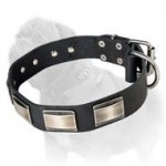 Leather Mastff Collar with Silvery Nickel Carved Plates for Daily Walks