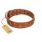 "Dreamy Gleam" FDT Artisan Tan Leather Mastiff Collar Adorned with Stars and Squares