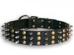 Best Studded and Spiked leather dog collar for big breeds