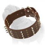 Super Wide Leather Dog Collar with Spikes and Studs for fashion Mastiff Walking