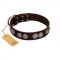 "High and Mighty" FDT Artisan Classy Brown Leather Mastiff Collar with Embellished Brooches