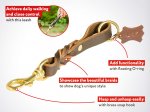 Walker Mastiff Dog Leash With Braided Adornment