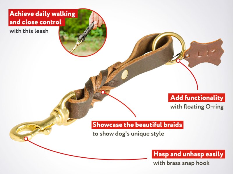 Walker Mastiff Dog Leash With Braided Adornment
