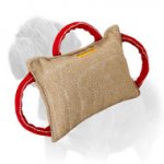 Absolutely Safe Mastiff Dog Training Bite Pad