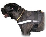 Reflective nylon dog harness Cane Corso Mastiff - Everyday Harness